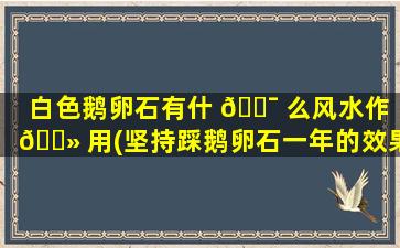 白色鹅卵石有什 🐯 么风水作 🌻 用(坚持踩鹅卵石一年的效果)